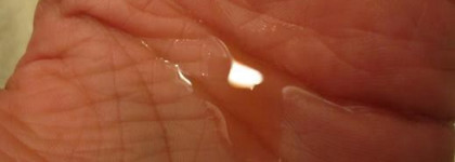 Еще одно поражение в борьбе за свежесть волос. Фитосольба Фитоцедра шампунь себорегулирующий - Phyto Phytocedrat Shampoo