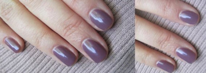 Мое знакомство с маркой Dolce & Gabbana