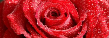 Почувствуй себя госпожой. Agent Provocateur. Maitresse