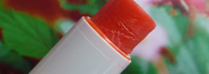 Одежка для губ: бальзамы и гигиенические помады