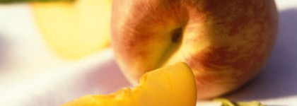 "О, женщина, услада из услад..." (Le Dix Balenciaga)