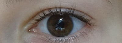 Как я спасала себе Новый Год