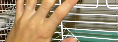 В поисках идеального нюда - Ga-de Crystal Gloss Nail Enamel #389 Sunset Light