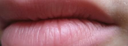 Shiseido Smoothing Lip Pencil