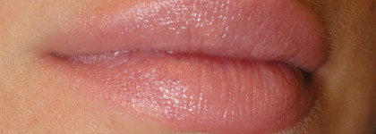 Два нюда Shiseido The Makeup Perfect Rouge №be 208 и Fаrd a Levres rouge pur №148