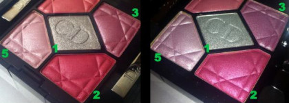 Смело берем кисти в руки и … начинаем рисовать! Dior 5 Couleurs Iridescent #859 Graphic Light