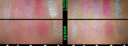 Смело берем кисти в руки и … начинаем рисовать! Dior 5 Couleurs Iridescent #859 Graphic Light