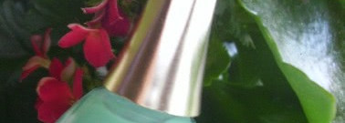 Эксперимент с цветом! Golden Rose Paris № 225