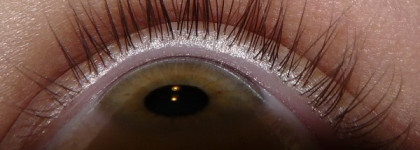 Две не очень удачные туши