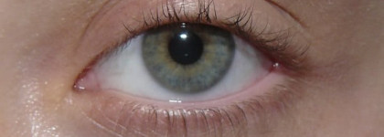 Две не очень удачные туши