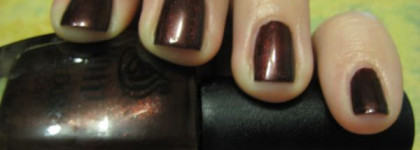 INM Brown Bag Lunch - красный шоколад