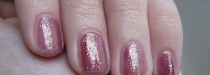 El Corazon № 734 + Dance Legend 668 CRACK