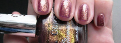 El Corazon № 734 + Dance Legend 668 CRACK