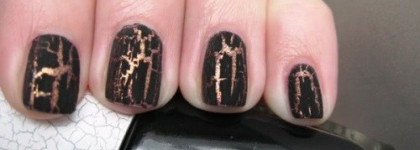 El Corazon № 734 + Dance Legend 668 CRACK