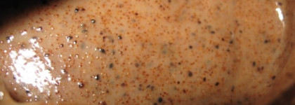 Yves Rocher - Tradition de Hammam - Oriental velvety skin scrub with organic argan oil from Morocco and argan kernel powder