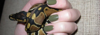 OPI - Uh-Oh Roll Down The Window - очередной любимый хаки-лак