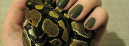 OPI - Uh-Oh Roll Down The Window - очередной любимый хаки-лак