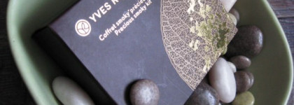 Палетка для макияжа глаз Precious Smoky Kit от Yves Rocher