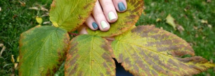 Christina Fitzgerald: Hope and Ness