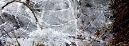 Demeter Fragrance Library: Frozen Pond (Зимний Пруд)