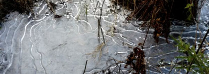 Demeter Fragrance Library: Frozen Pond (Зимний Пруд)