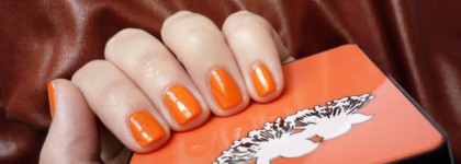 Абрикосы со льдом. Sally Hansen #150 sun kissed & Dance Legend #4 aztec