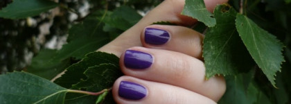 Lambre Paris Flowers Limited Edition nail enamel № 7 Фиалка