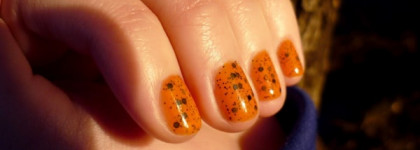 Тыквенный пирог с маком. Sagitta Dalmation Collection nail laquer # 5