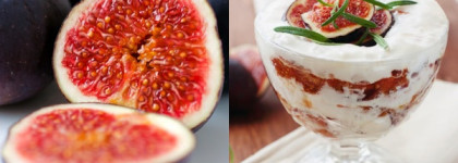 Щемящая нежность... Lambre Amaltea Classic