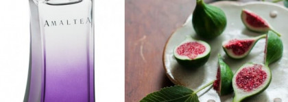 Щемящая нежность... Lambre Amaltea Classic