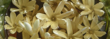 Мастерская Олеси Мустаевой: Крем для тела Monoi с маслом моной де Таити (таитянской гардении)