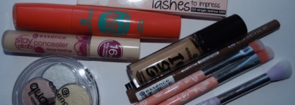 Палитра. Поэтапный макияж с essence # most wanted