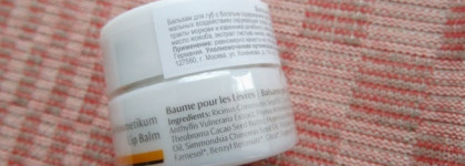 Dr.Hauschka — натуральные красота и уход: бальзам для губ и маскирующий карандаш