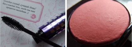 Alvin D'Or: запечённые румяна и тушь, ухаживающая за ресницами