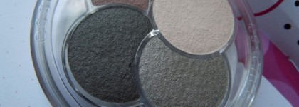 Essence quattro eyeshadow # 19 greys n' roses
