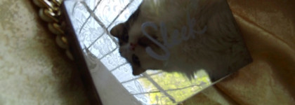 Sleek MakeUP Highlighting Palette # Precious Metals