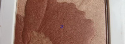 Цветок в пустыне. Или Clinique Fresh Bloom Allover Colour на Clinique Superbalanced Makeup