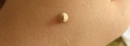 Летний дуэт или выравниваем личико в жаркие дни!