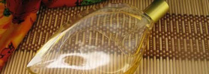 Феерия Летних Удовольствий