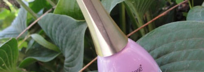 Сама нежность. Golden Rose "Paris Summer", № 221