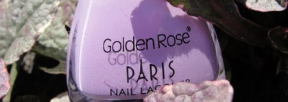 Сама нежность. Golden Rose "Paris Summer", № 221