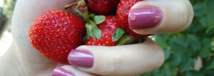 На работу: Лак для ногтей "60 секунд" №285 Style Hunter от Rimmel