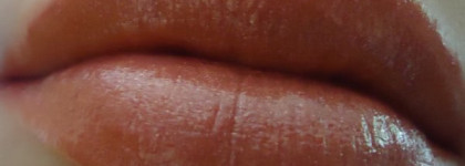 Полнейшее разочарование: Губная помада Shimmering Lipstick с мерцающим эффектом от Shiseido
