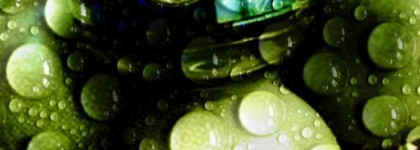 Прямолинейный Dkny Be Delicious от Donna Karan