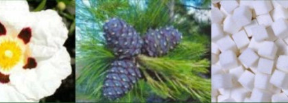 Псевдосвежесть Acqua di Gioia от Giorgio Armani