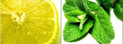 Псевдосвежесть Acqua di Gioia от Giorgio Armani