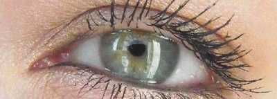 Легендарные Urban Decay - Naked Palette