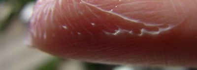 Бальзам для кожи вокруг глаз  Avocado Rich Eye Balm от Skinfood