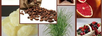 Дар голубой агавы Jo Malone Blue Agava & Cacao