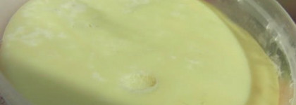 Спасатели от Спивакъ